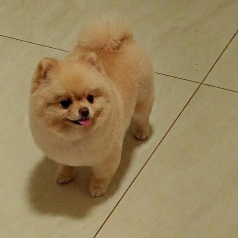Leo