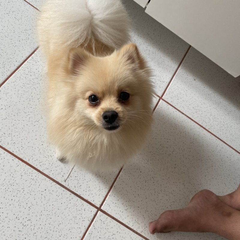 Olaf