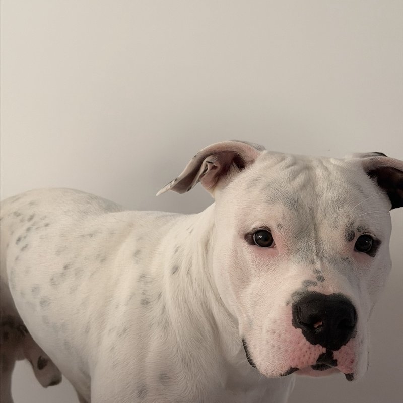 Zeus